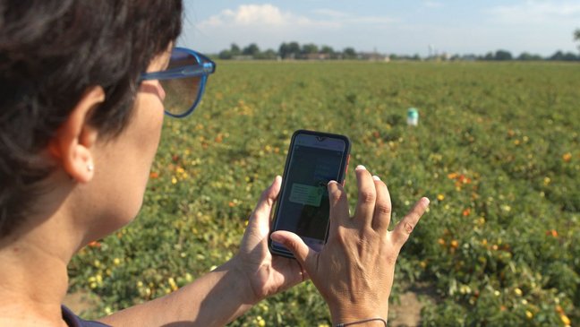 250122-MONITORA3_low