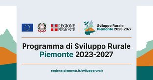 Banner_SRP2023-2027
