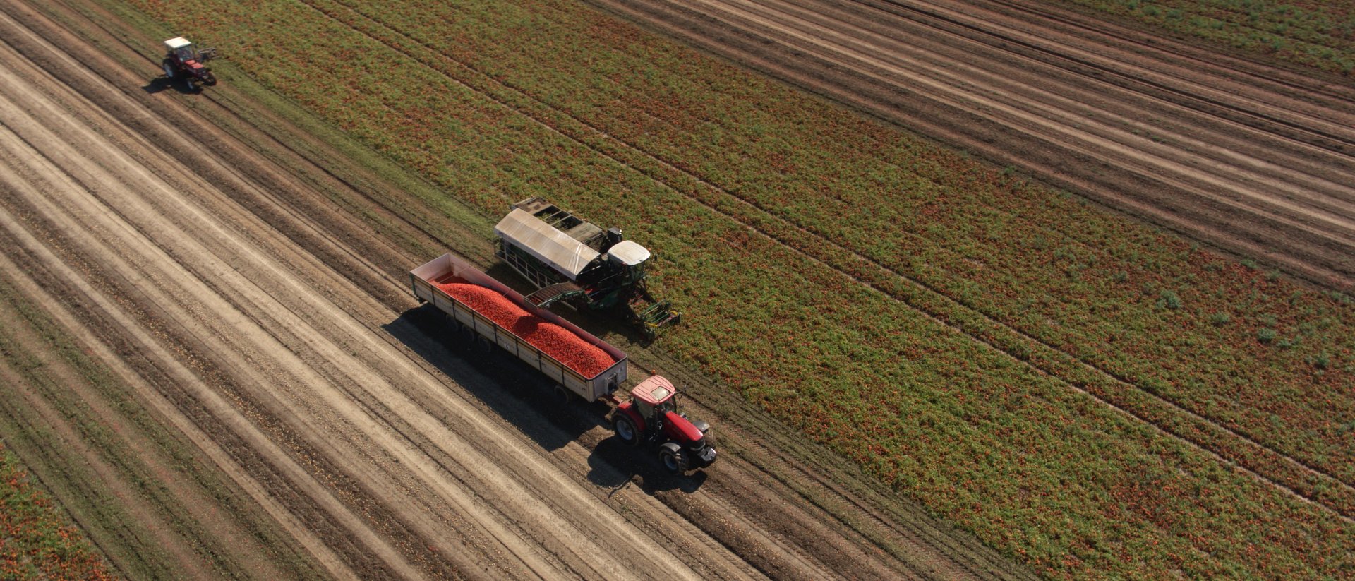 HARVESTING