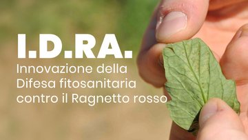 I.D.R.A