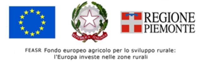 Monitora-image-1