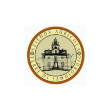 terre-di-san-giorgio