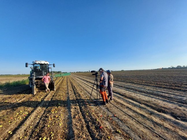 240528-Tomato_SAUCE_VIDEO_BACK3_low