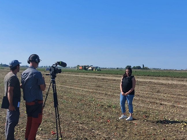 240528-Tomato_SAUCE_VIDEO_BACK2_low